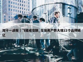 双十一战报｜飞猪成交额_交易用户数大增22个品牌破亿