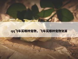 qq飞车买哪种宠物，飞车买哪种宠物划算