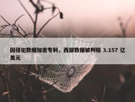 因侵犯数据加密专利，西部数据被判赔 3.157 亿美元