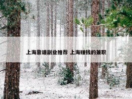 上海靠谱副业推荐 上海赚钱的兼职