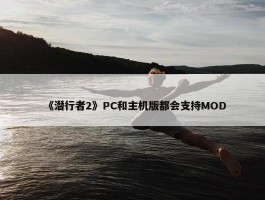 《潜行者2》PC和主机版都会支持MOD