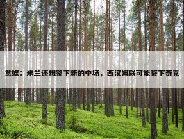 意媒：米兰还想签下新的中场，西汉姆联可能签下奇克