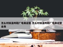 怎么对接温州鞋厂电商运营 怎么对接温州鞋厂电商运营业务