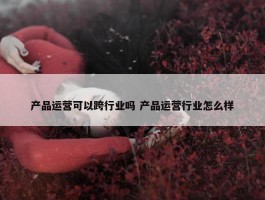 产品运营可以跨行业吗 产品运营行业怎么样