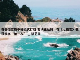 在苍茫雪原中拍摄武打戏 专访王弘毅：在《七夜雪》收获很多“第一次” _ 谈艺录