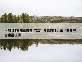 一加 13首发京东方“X2”发光材料，新“东方屏”含金量拉满