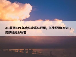 AG获得KPL年度总决赛总冠军，长生获得FMVP，皮肤给到王昭君！