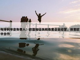 匈牙利车企负责人：欧盟加征关税危害企业经营，损害欧中合作