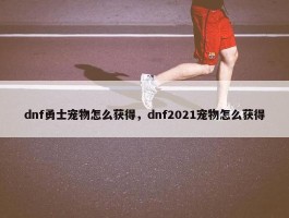 dnf勇士宠物怎么获得，dnf2021宠物怎么获得