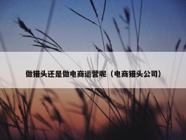 做猎头还是做电商运营呢（电商猎头公司）