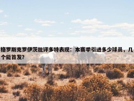 格罗斯克罗伊茨批评多特表现：本赛季引进多少球员，几个能首发？