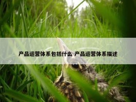 产品运营体系包括什么 产品运营体系描述