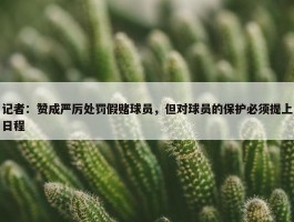 记者：赞成严厉处罚假赌球员，但对球员的保护必须提上日程