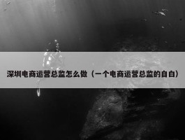 深圳电商运营总监怎么做（一个电商运营总监的自白）