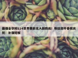 最强全华班S14世界赛前买入新教练！粉丝却开香槟庆祝：补强短板