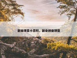 副业项目小百科，副业创业项目