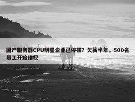 国产服务器CPU明星企业已停摆？欠薪半年，500名员工开始维权