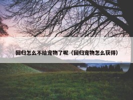 回归怎么不给宠物了呢（回归宠物怎么获得）