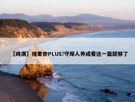 【鸣潮】维里奈PLUS!守岸人养成看这一篇就够了