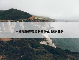 电商陪跑运营服务是什么 陪跑业务