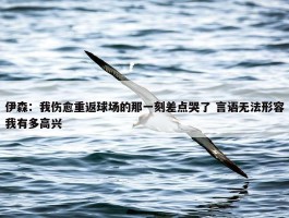 伊森：我伤愈重返球场的那一刻差点哭了 言语无法形容我有多高兴