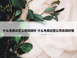 什么电商运营公司高级好 什么电商运营公司高级好做