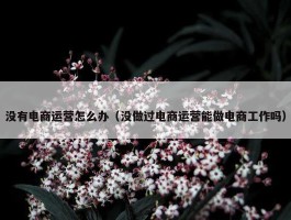 没有电商运营怎么办（没做过电商运营能做电商工作吗）