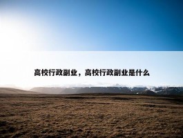 高校行政副业，高校行政副业是什么