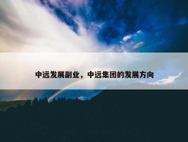 中远发展副业，中远集团的发展方向