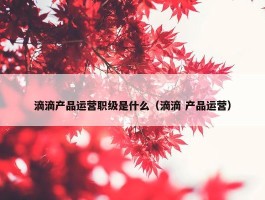 滴滴产品运营职级是什么（滴滴 产品运营）