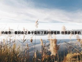 约维奇：看到自己鼻子变形了真的很怪异 但我会没事的