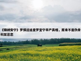 《锦绣安宁》罗慎远追查罗宜宁早产真相，原来不是伪骨科禁忌恋