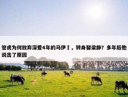 管虎为何放弃深爱4年的马伊琍，转身娶梁静？多年后他说出了原因