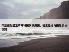 印尼归化后卫阿马特因伤病原因，确定无缘与国足的18强赛