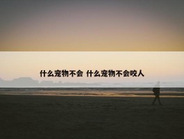 什么宠物不会 什么宠物不会咬人