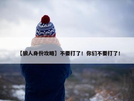 【狼人身份攻略】不要打了！你们不要打了！