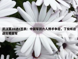 武汉赛16进8签表：中国军团六人携手争冠，丁俊晖迎战北爱亚军