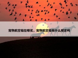 宠物航空箱在哪买，宠物航空箱有什么规定吗