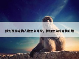 梦幻西游宠物人物怎么升级，梦幻怎么给宠物升级