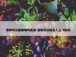 宠物可以随便喂吗英语 宠物可以随主人上飞机吗