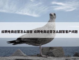 应聘电商运营怎么回答 应聘电商运营怎么回答客户问题