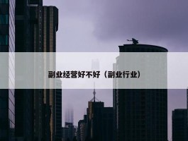 副业经营好不好（副业行业）