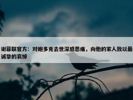 谢菲联官方：对鲍多克去世深感悲痛，向他的家人致以最诚挚的哀悼