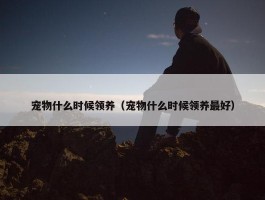 宠物什么时候领养（宠物什么时候领养最好）