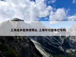 上海返乡能带宠物么 上海可以返乡过年吗