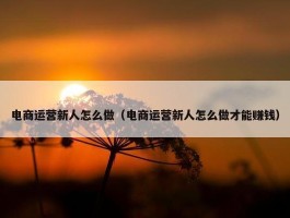 电商运营新人怎么做（电商运营新人怎么做才能赚钱）