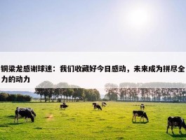 铜梁龙感谢球迷：我们收藏好今日感动，未来成为拼尽全力的动力