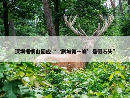 深圳梧桐山回应“‘鹏城第一峰’是假石头”