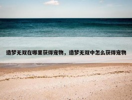 造梦无双在哪里获得宠物，造梦无双中怎么获得宠物