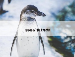 东风日产傍上华为！